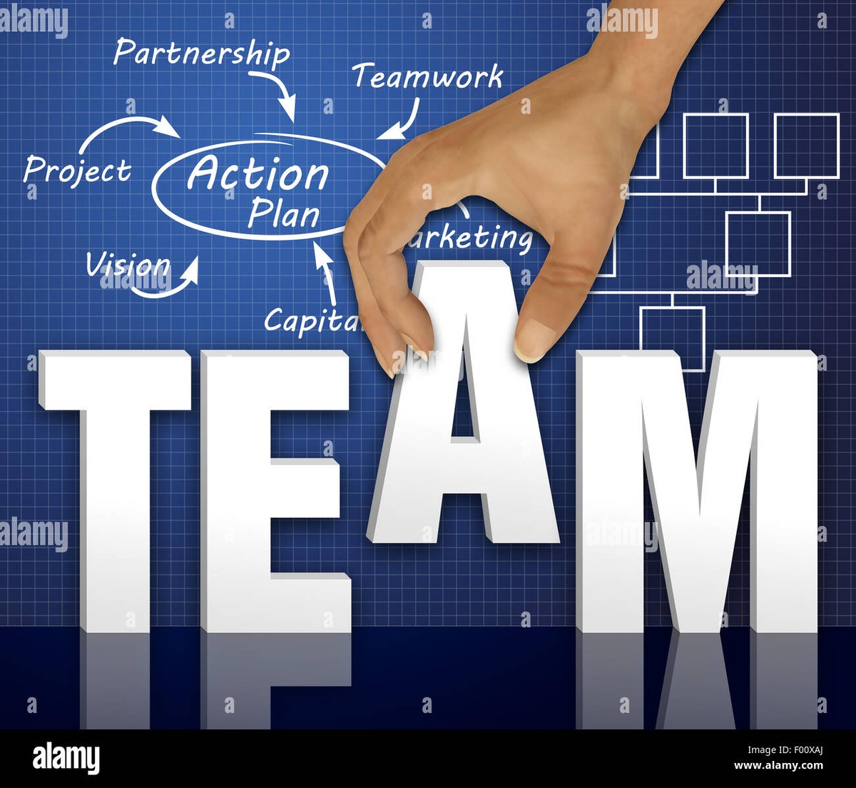 Our Team in Action